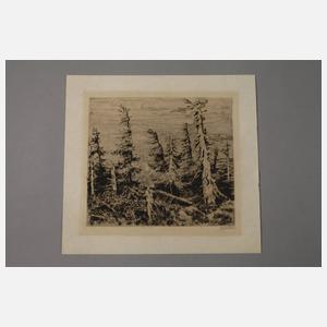 Georg Gelbke, Im Erzgebirge