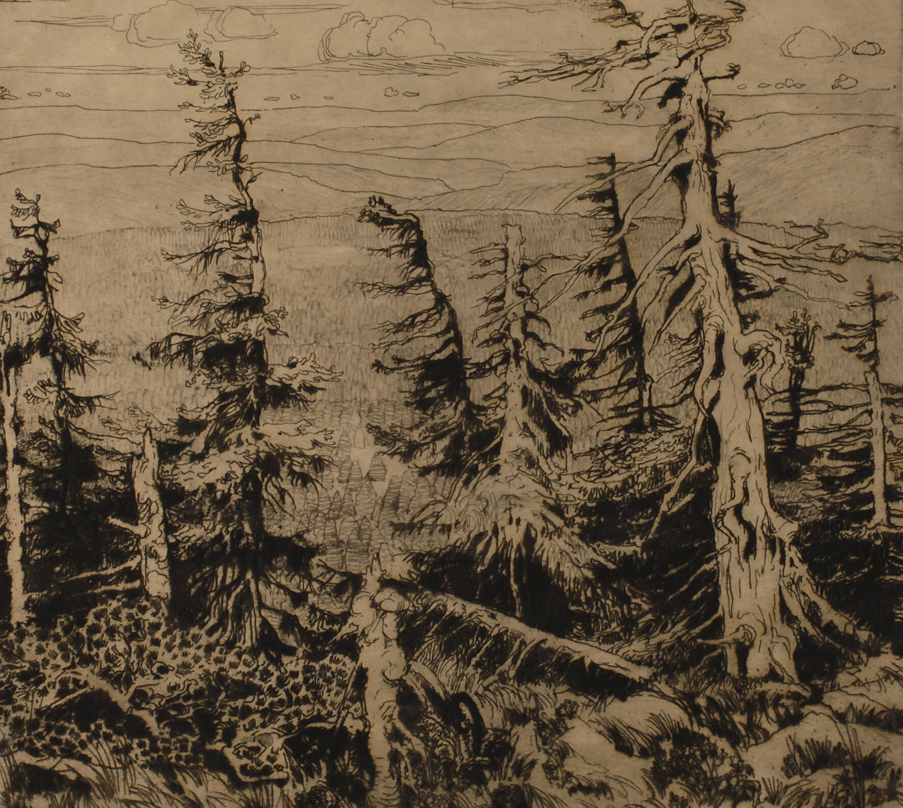 Georg Gelbke, Im Erzgebirge