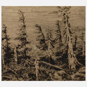 Georg Gelbke, Im Erzgebirge