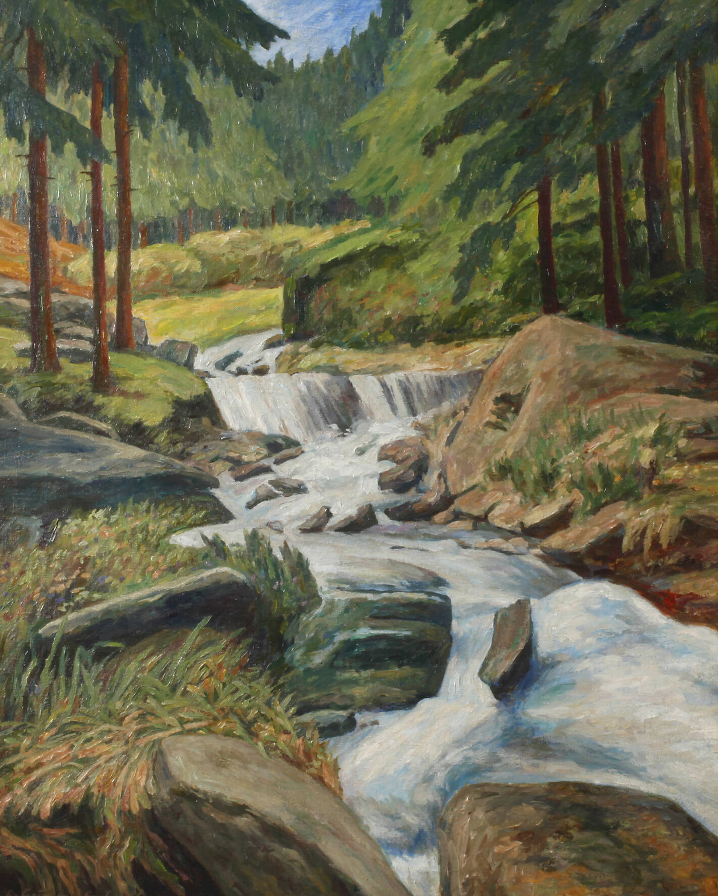 Richard Grimm-Sachsenberg, Triebtal