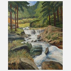 Richard Grimm-Sachsenberg, Triebtal