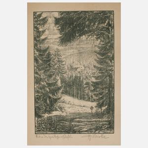 Hermann Richard Otto Knothe, Blick auf Bad Elster