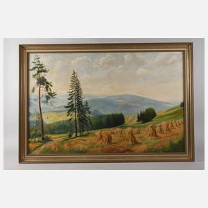 Hermann Richard Otto Knothe, Vogtlandlandschaft