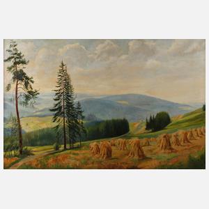 Hermann Richard Otto Knothe, Vogtlandlandschaft