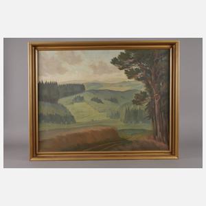 Bernhard Paul Mehnert, "Erzgebirgslandschaft"