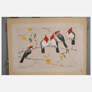 Martin Erich Philipp, "Kardinale"