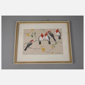 Martin Erich Philipp, "Kardinale"