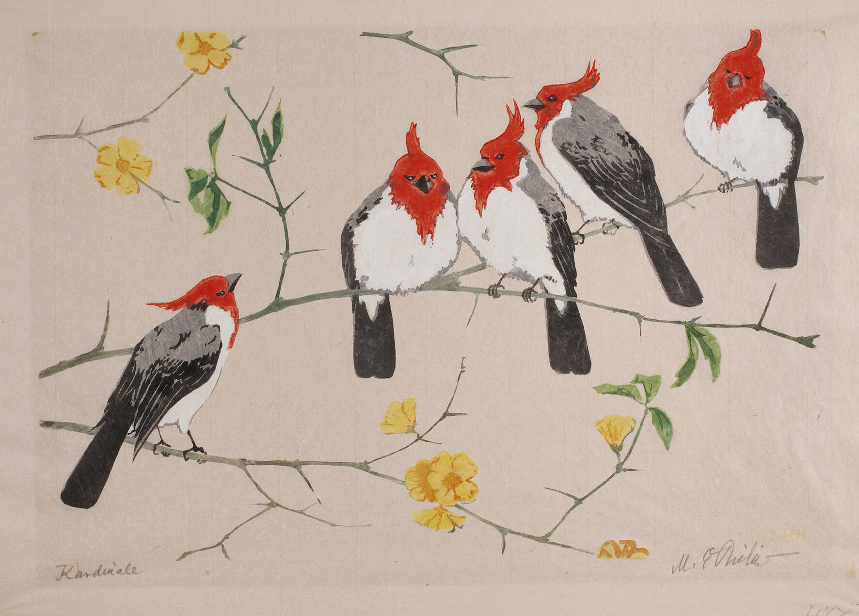 Martin Erich Philipp, "Kardinale"