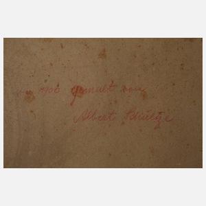 Albert Schultze, Bäuerliche Schlafstube