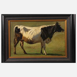 Prof. Friedrich Voltz, attr., Rinderportrait