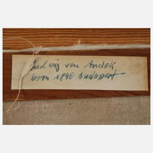 Ludwig von Andok, Blühende Berglandschaft