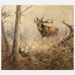 Ernst Ludwig von Aster, Röhrender Hirsch