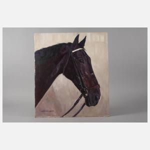 Hellmut Bachara-Barée, Hengstportrait