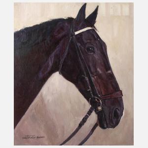 Hellmut Bachara-Barée, Hengstportrait