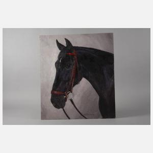 Hellmut Bachrach-Barée, Hengstportrait "Fury"