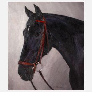 Hellmut Bachrach-Barée, Hengstportrait "Fury"