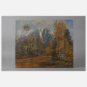 Georg Hänel, Hochmoor bei Oberstdorf