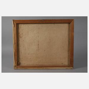 Georg Hänel, Hochmoor bei Oberstdorf