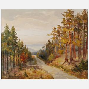 Höfer, Erzgebirgslandschaft