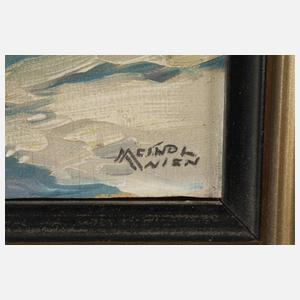 Albert Meindl, "Im Sellagebiet"