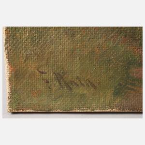 Friedrich Nath, "Pommerscher See mit Enten"