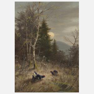 Max Nordt, Balzende Auerhähne