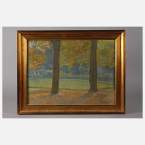 Prof. Theodor Schindler, Im Park