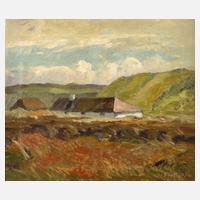 Albert Stegler, Nordische Landschaft111