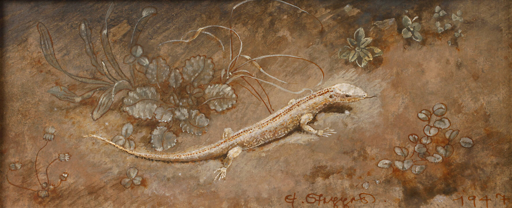 Prof. Edmund Steppes, Eidechse