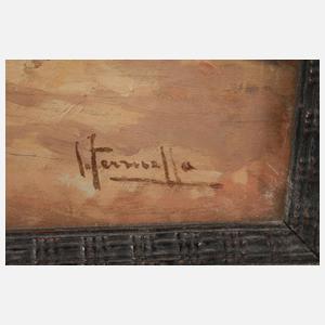 Joaquin Terruella Matilla, In der Stierkampfarena