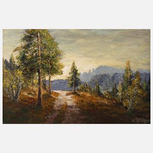 Wolfgang Heinz Unger, "Höhenweg bei Meran"