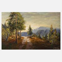 Wolfgang Heinz Unger, "Höhenweg bei Meran"111