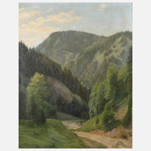 Prof. Julius Widnmann, Bewaldete Gebirgslandschaft