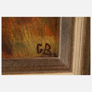 Abendstimmung am See