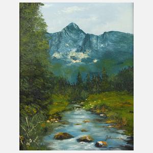 Bach in Alpenlandschaft