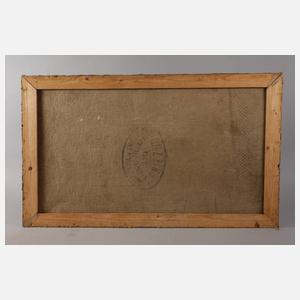 Polnische Dorflandschaft