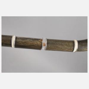 Spazierstock Horn