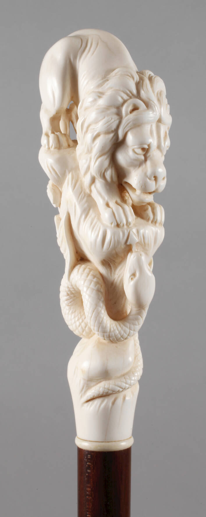 Spazierstock Elfenbein