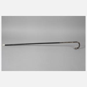 Spazierstock Alpacca