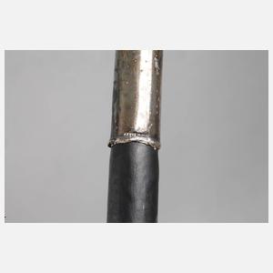 Spazierstock Alpacca