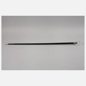 Spazierstock Kristall