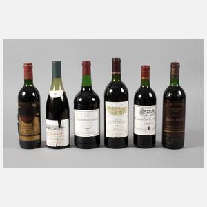 Sechs Flaschen Rotwein