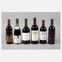 Sechs Flaschen Rotwein111