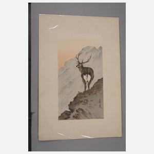 Farbholzschnitt Ohara Koson