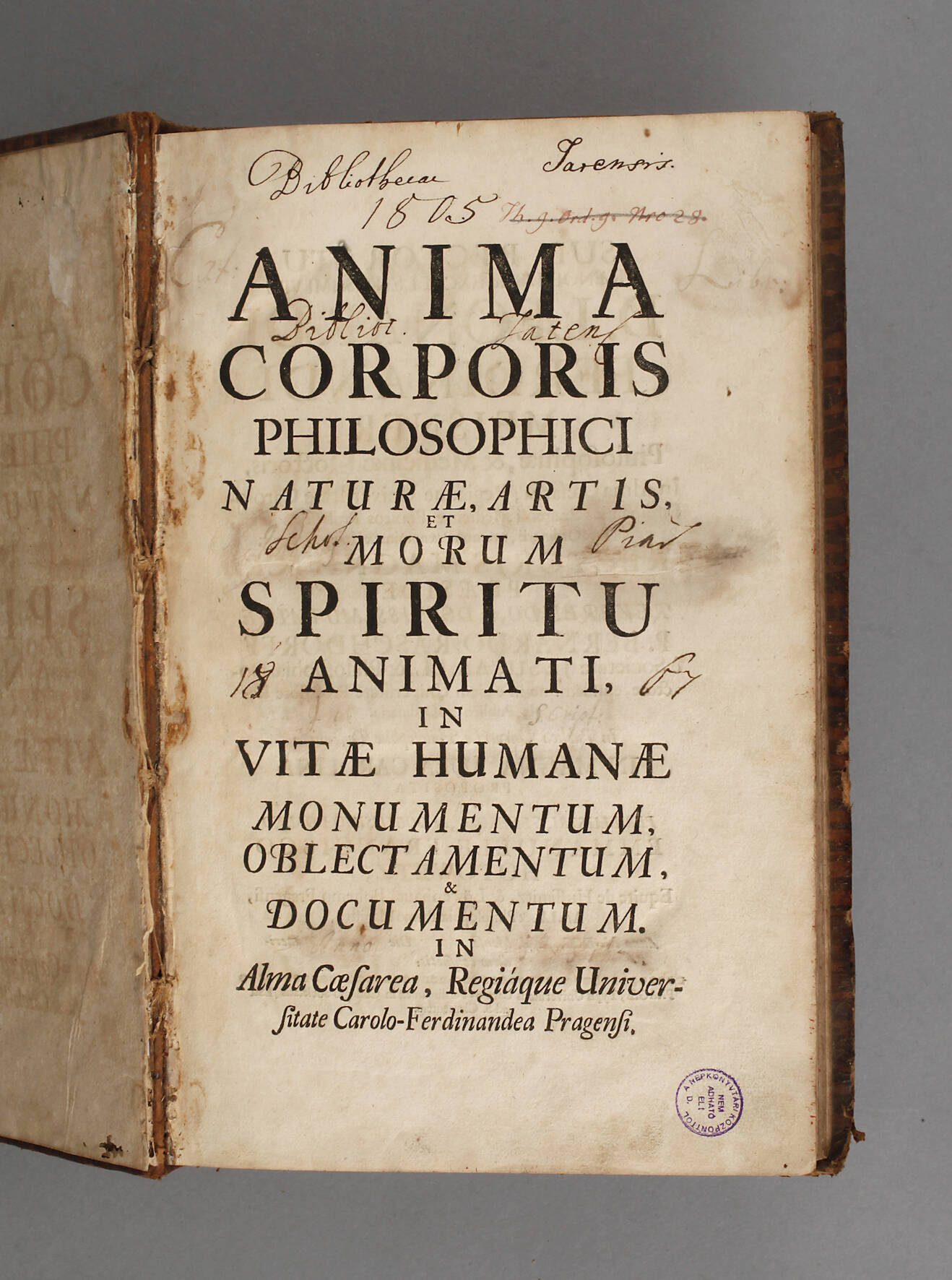 Anima Corporis Philosophici Naturae