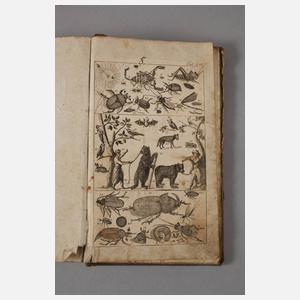 Naturgeschichte für Kinder