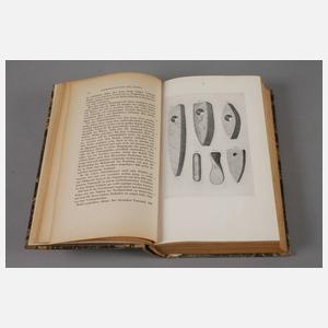 Goethe – Schriften zur Geologie und Mineralogie 1812–1832