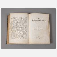 Die Umgebungen Prags111