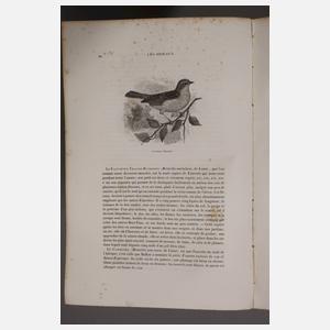 Le Jardin des Plantes