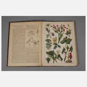 Gustav Weise's Naturgeschichte in Bildern